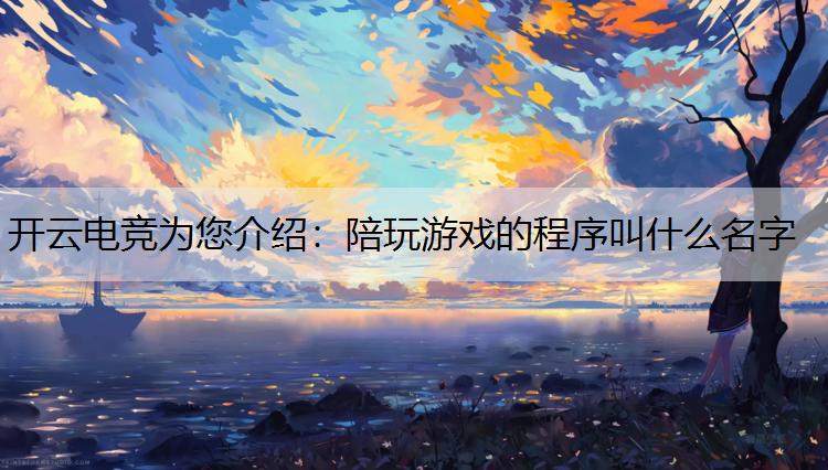 开云电竞为您介绍：陪玩游戏的程序叫什么名字