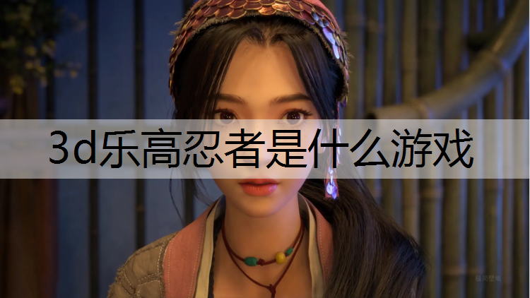 3d乐高忍者是什么游戏