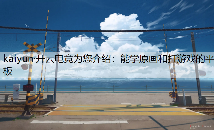 kaiyun·开云电竞为您介绍：能学原画和打游戏的平板