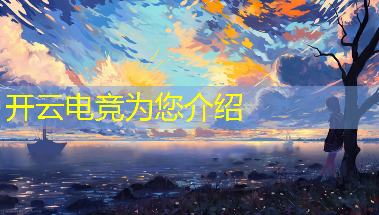 开云电竞为您介绍：王者全国电竞赛事冠军