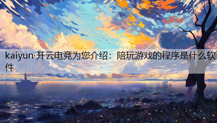 陪玩游戏的程序是什么软件