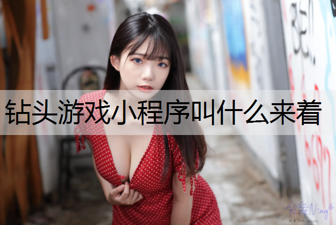 钻头游戏小程序叫什么来着