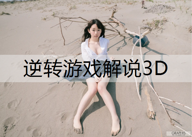 逆转游戏解说3D