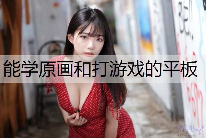能学原画和打游戏的平板